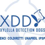 XDD – Xylella Detection Dogs