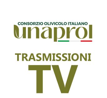 TRASMISSIONI TV
